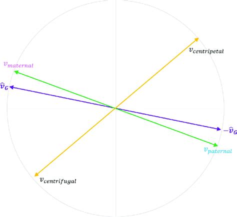 antonym of axis